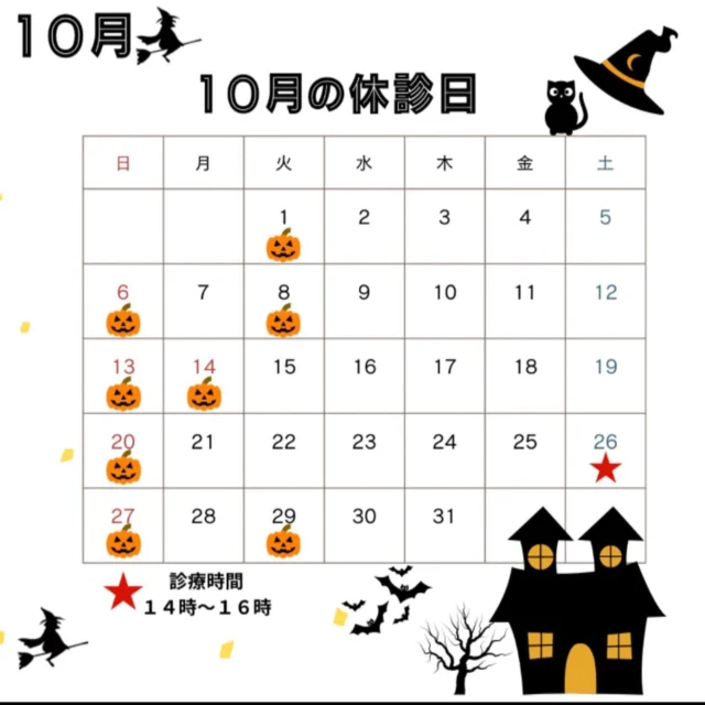 こんにちは😃
ゆうARTクリニックです。

１０月の休診日のお知らせです。
２６日(土)は１４時〜１６時不妊治療枠のみの診察
となっておりますのでご了承ください🙇‍♀️

先月に続き、夜間の診察や土曜日のご予約が取りづらくなっており待ち時間も発生しております。
ご迷惑おかけして申し訳ありませんが予めご了承ください。

#不妊治療
#婦人科
#女医
#刈谷市
#ゆうartクリニック 
#10月休診日のお知らせ